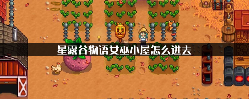 星露谷物语女巫小屋怎么进去