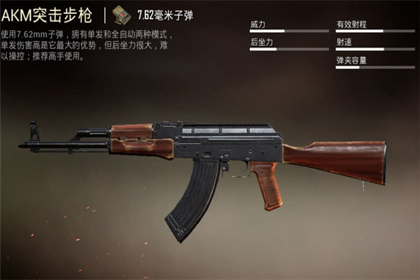 <strong>和平精英   主流突击步枪有哪些特点</strong>