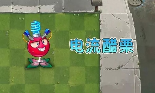 <strong>植物大战僵尸2  怎么用好电流醋栗</strong>