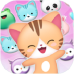 <strong>狂热的小猫</strong>
