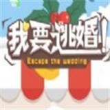 <strong>我要逃婚</strong>