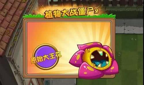 <strong>植物大战僵尸2   大王花使用攻略</strong>