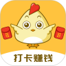 <strong>小鸡趣玩</strong>