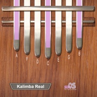 <strong>Kalimba Real</strong>
