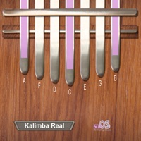 <strong>Kalimba Real</strong>